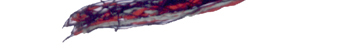 aeb5.jpg (12726 Ӧ줸)